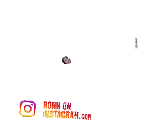 Pammyboi Sticker by BORN ON INSTAGRAM