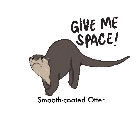 Otters Sticker by National Parks Board