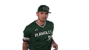 College Baseball Sticker by Hawaii Athletics