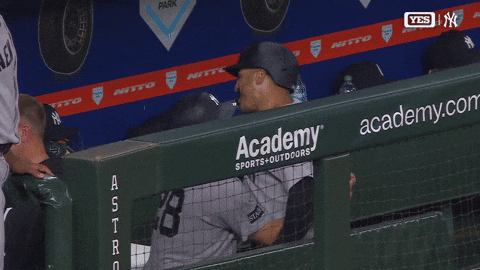 New York Yankees Hug GIF by MLB