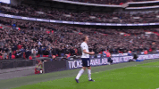 london football GIF by Tottenham Hotspur