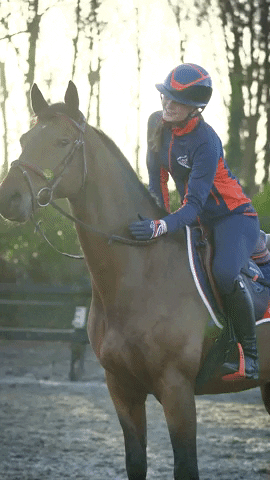 allaboutkristy giphygifmaker horses GIF