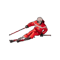 Skiing Skiinstructor Sticker by SkiSchoolOrtisei