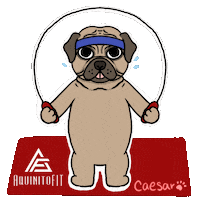 Dog Doggie Sticker by aquinitofit