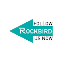Arrow Follow Us Sticker by rockbird