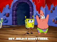 season 5 episode 6 GIF by SpongeBob SquarePants
