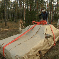 Excited Happy Birthday GIF by SVT