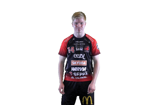 Floorball Salibandy Sticker by F-liiga