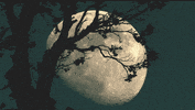 the moon GIF