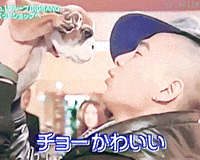 kpop dog top bigbang gd GIF