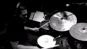 Play Playing GIF by Jazz Memes