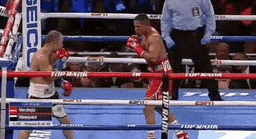 toprank fight boxing fighting espn GIF
