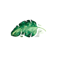 Trend Living Sticker by Segmüller Möbel