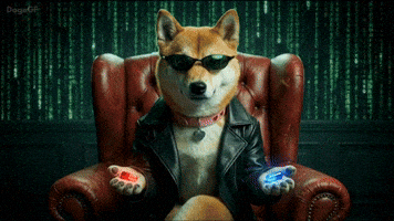 Choose Kindness | DogeGF Matrix