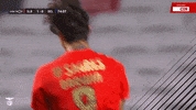 Happy Sl Benfica GIF by Sport Lisboa e Benfica