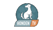 Dog Sticker by hondentv