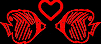 diveadventures travel dive diving scuba GIF