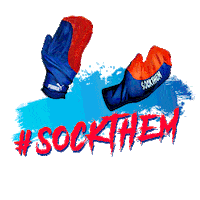 india winning Sticker by Puma