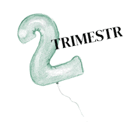 budenasvic mama miminko tehotenstvi tehotna Sticker