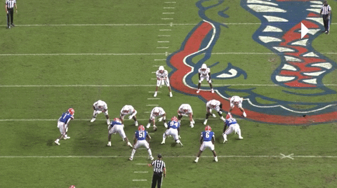 sletizia14 giphyupload GIF