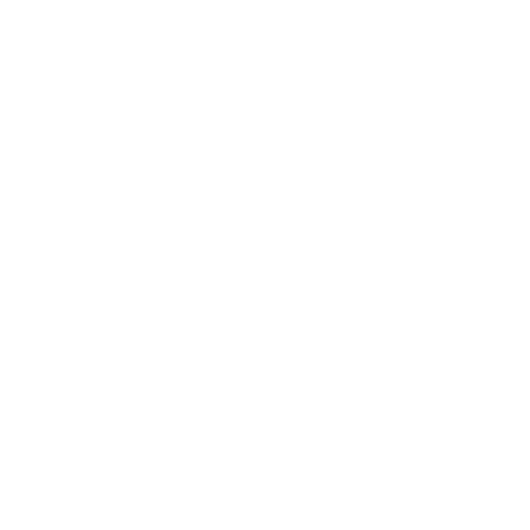 Disney Dreaming Sticker