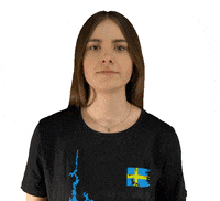 Point Thumbs Up GIF by scandtrack touristik GmbH
