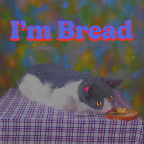 I'm Cat
