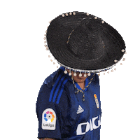 Sport Soccer Sticker by Real Oviedo