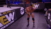 Aew GIF by ALL ELITE WRESTLING