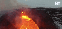 eric cheng camera GIF by NowThis 