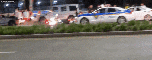 seotor_7 giphyupload GIF