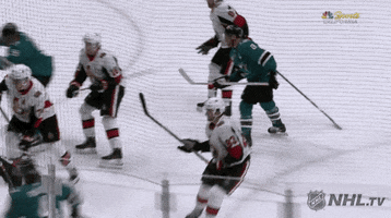 happy ice hockey GIF by NHL