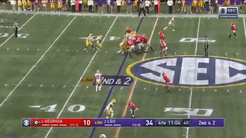 SchaufDS giphygifmaker fantasyfootball draftsharks clydeedwardshelaire GIF