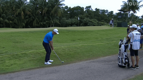 samweinman giphyupload GIF