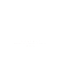 WeekendMaxMara butterfly mfw butterflies ss21 Sticker