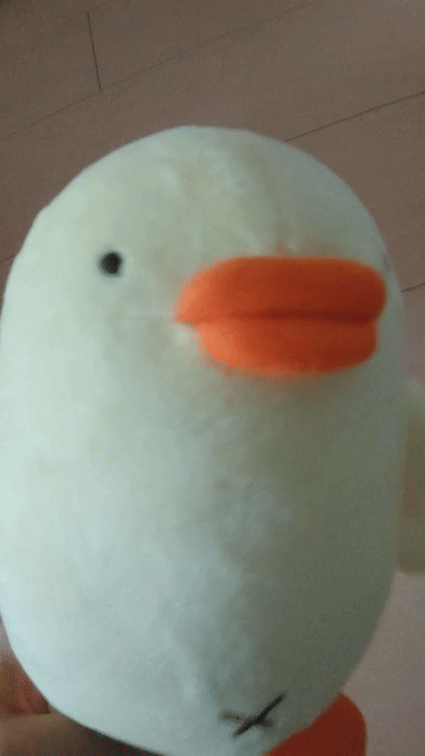 Chick people Piyo