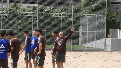 playa selecciÃ³n mexicana GIF by MiSelecciónMX