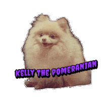 Pomeranian Sticker by EDGARDUDE
