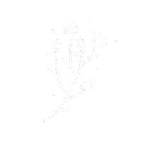 StudioLouu flower plant botanic studiolouu Sticker