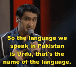 language urdu GIF