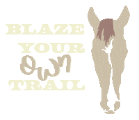 Horse Cowgirl Sticker by Molly Virginia Morris Photography