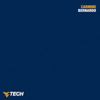 Swimming GIF by WVU Tech Golden Bears