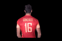 redlynxes volleyball voleibol mikasa redlynxes GIF