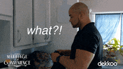 Excuse Me What GIF by MyPetHippoProductions