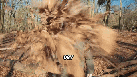 Vinnie Camilleri Spring Sale GIF by THE BEARD STRUGGLE