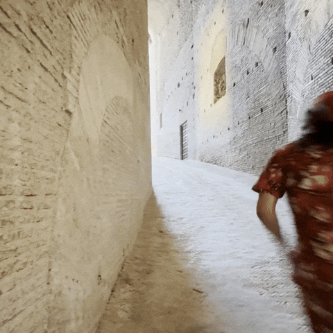 Goosify giphyupload happy running sprinting GIF