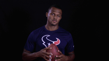 Houston Texans Watson GIF by NFL
