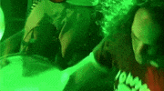 han-tyumi & the murder of the universe GIF