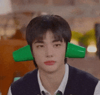 Stray Kids Skz GIF