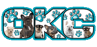 Dog Food Pet Store Sticker by Raw And Paw Co